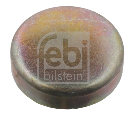 Frost Plug